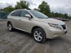 LEXUS RX 350 photo