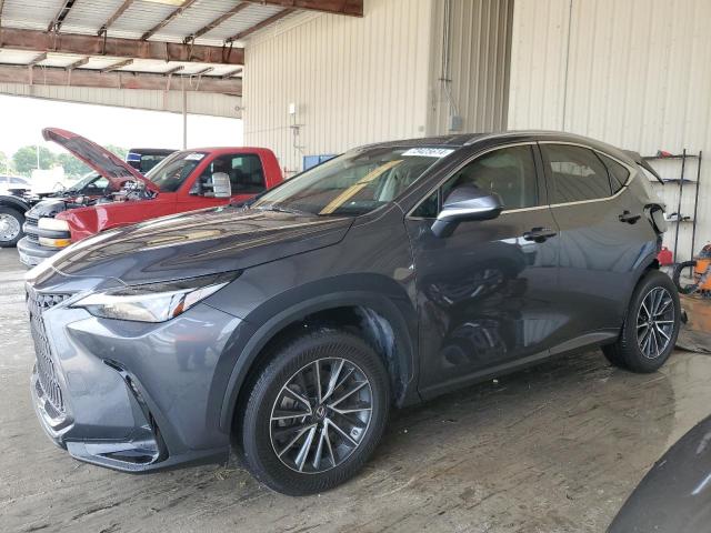 2023 LEXUS NX 250 #2989257746