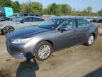 LEXUS ES 350 photo