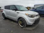 KIA SOUL + photo