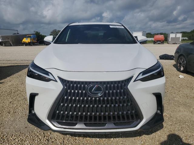 2023 LEXUS NX 250 JTJGDCAZ2P5009827