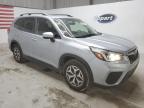 SUBARU FORESTER P photo