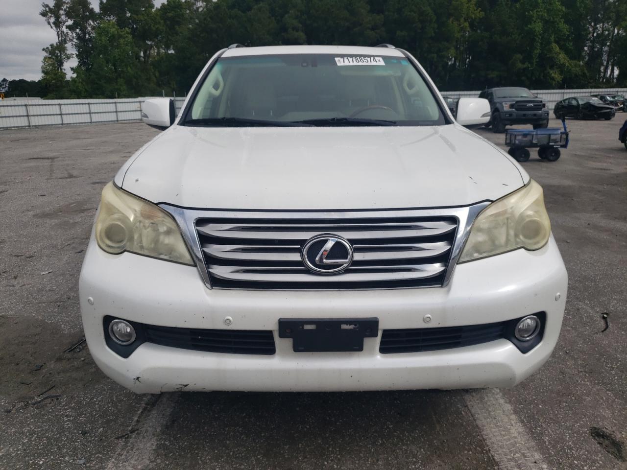 Lot #2942929318 2010 LEXUS GX 460