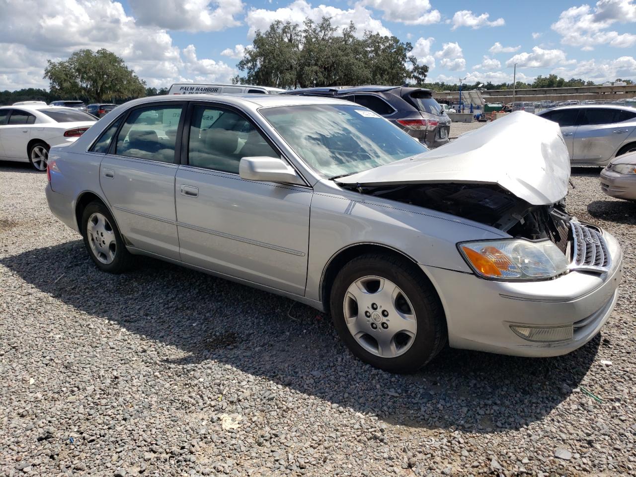 Lot #2904178954 2004 TOYOTA AVALON XL