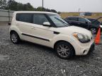 KIA SOUL + photo