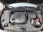 NISSAN MAXIMA S photo