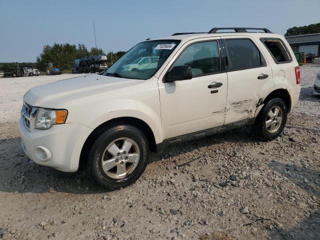 2011 FORD ESCAPE XLT 2011