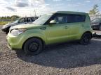 KIA SOUL + photo