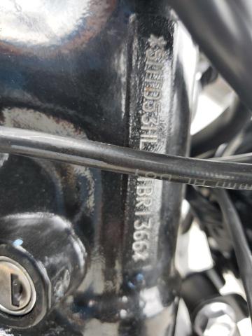 2024 TRIUMPH MOTORCYCLE BONNEVILLE - SMTD53HL3RTBR1366