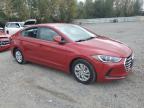 HYUNDAI ELANTRA SE photo