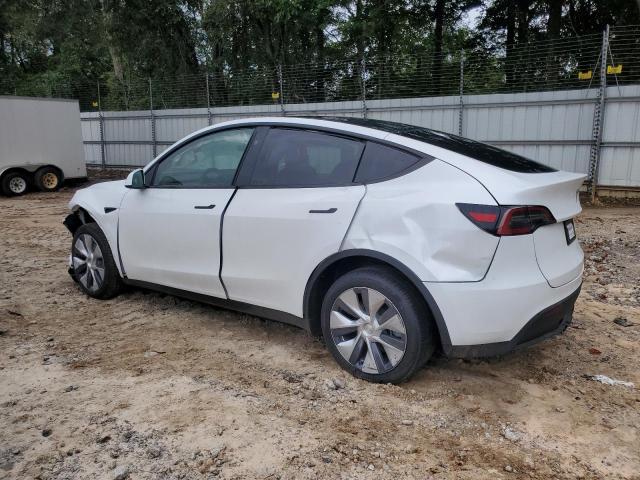 2023 TESLA MODEL Y - 7SAYGDEE8PA187901