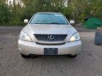 LEXUS RX 350 photo