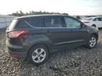 FORD ESCAPE SE photo