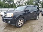 Lot #2940801326 2011 HONDA PILOT EXL