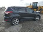 Lot #3024737229 2014 FORD ESCAPE TIT