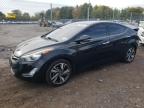 HYUNDAI ELANTRA SE photo