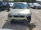 KIA SOUL + photo