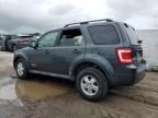 FORD ESCAPE XLT снимка