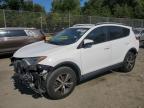 TOYOTA RAV4 XLE photo