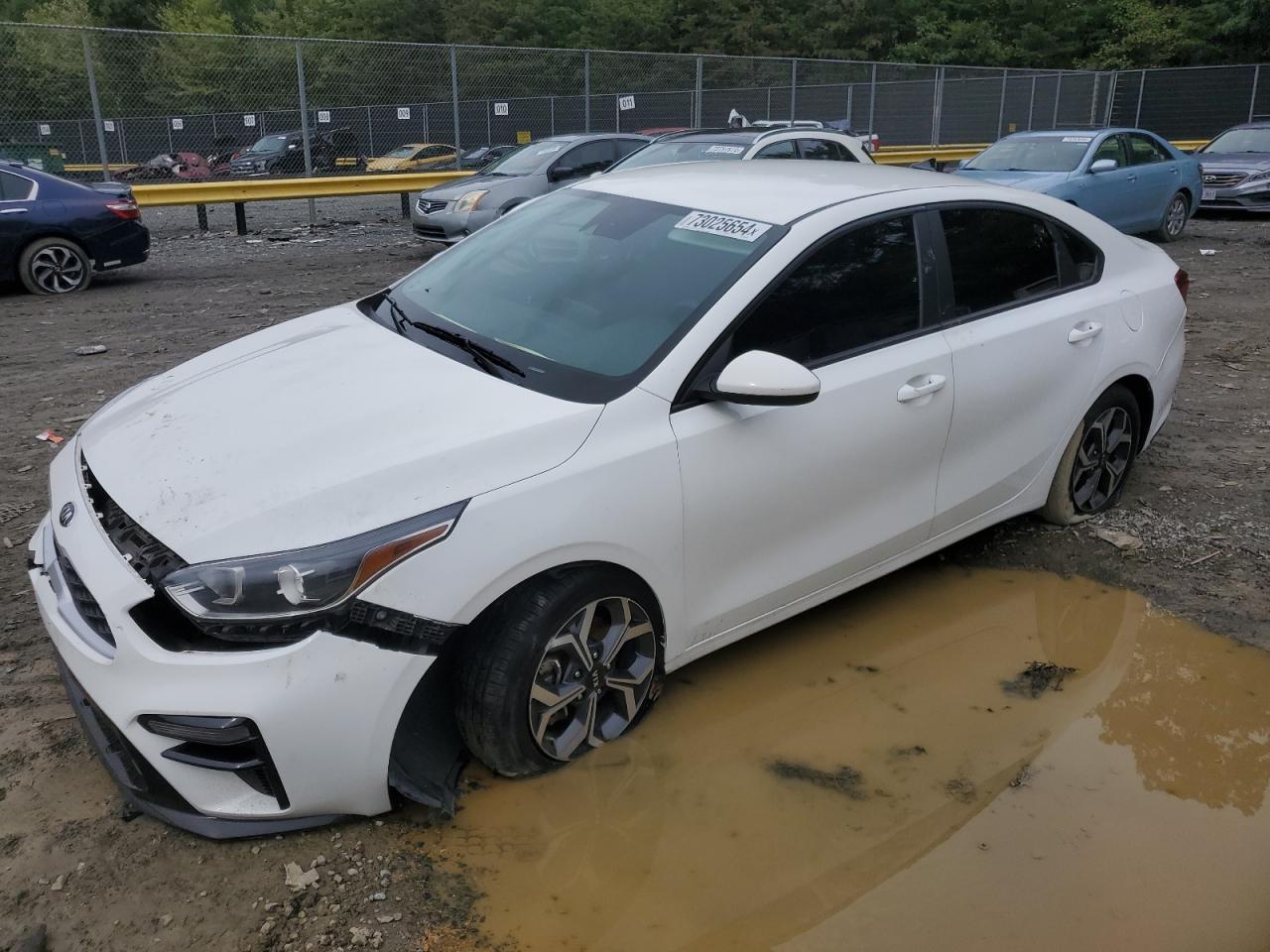 Lot #2969904901 2021 KIA FORTE FE