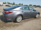 LEXUS ES 300H photo