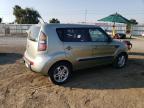 KIA SOUL + photo