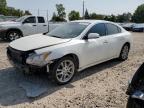 NISSAN MAXIMA S photo