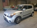 KIA SOUL + photo