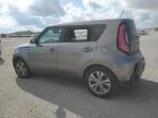 KIA SOUL + photo