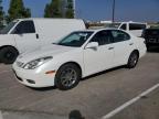 LEXUS ES 300 photo