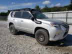 LEXUS GX 460 photo