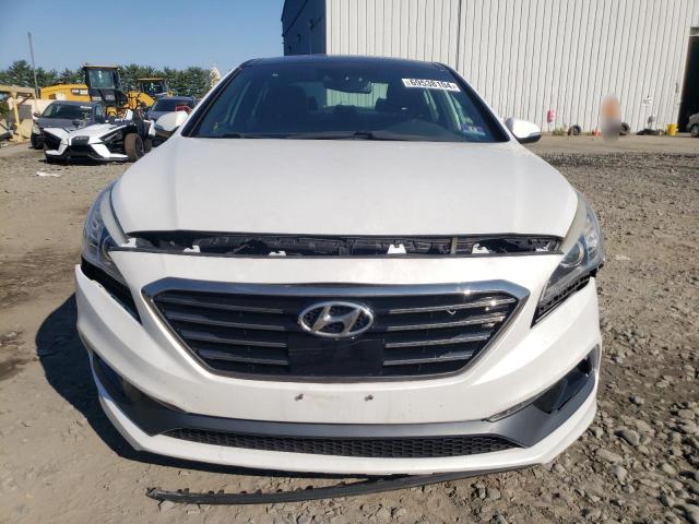 2015 HYUNDAI SONATA SPO - 5NPE34AB7FH083426