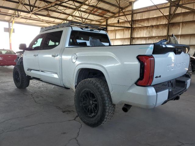 2023 TOYOTA TUNDRA CRE - 5TFNA5EC2PX017659