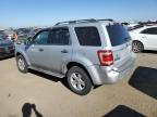 FORD ESCAPE XLT photo