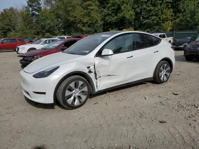2023 TESLA MODEL Y - 7SAYGDEE2PF857090
