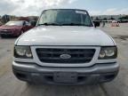 FORD RANGER photo