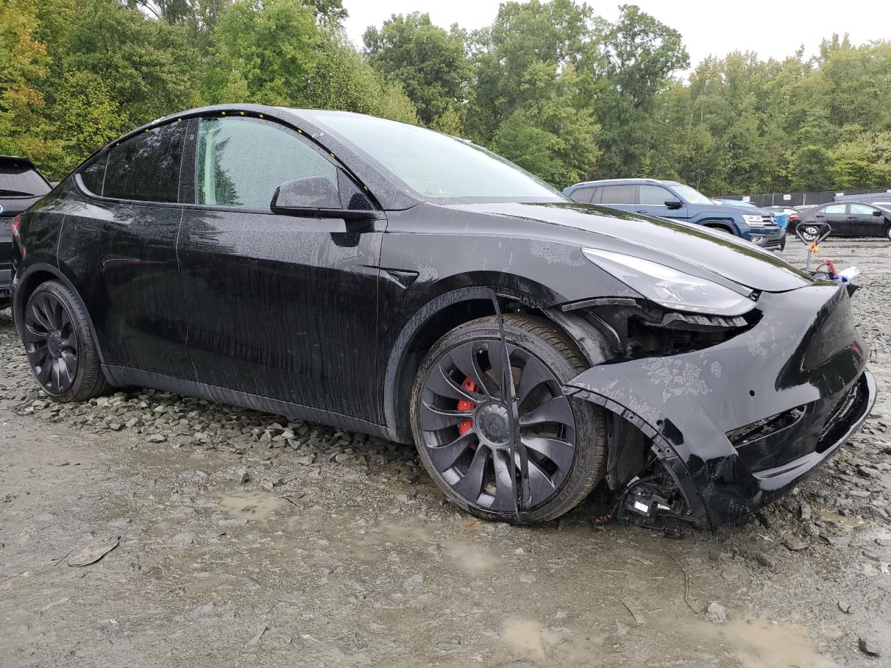 Lot #2902664237 2022 TESLA MODEL Y