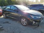 HYUNDAI ELANTRA SE photo