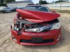 TOYOTA CAMRY XLE photo