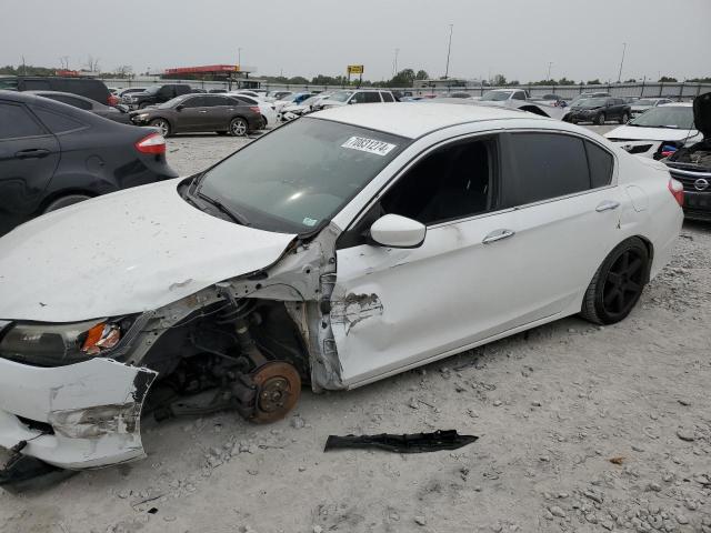 HONDA ACCORD SPO