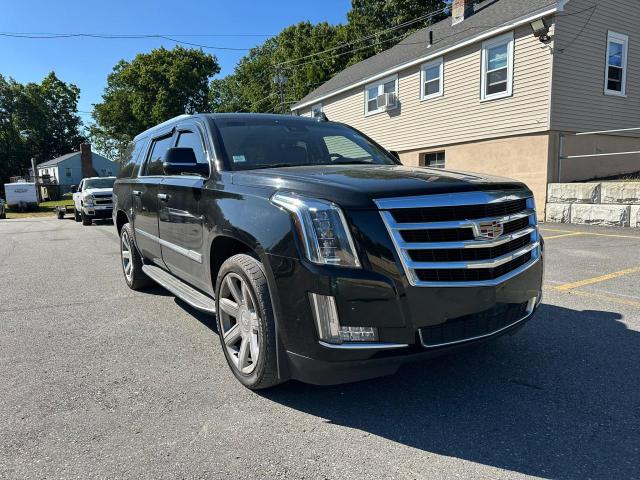 VIN 1GYS3HKJ6LR144067 2020 Cadillac Escalade, Esv L... no.4