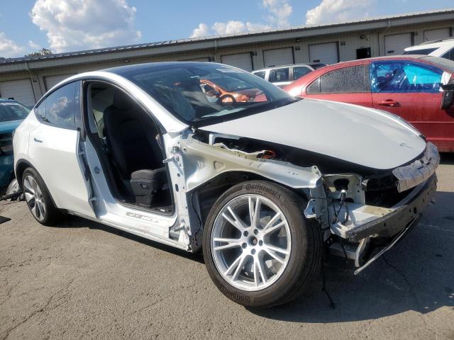 2023 TESLA MODEL Y - 7SAYGDEEXPF810843