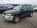 FORD ESCAPE XLT photo