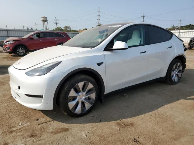 2023 TESLA MODEL Y #2943365695