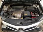 TOYOTA CAMRY SE A photo