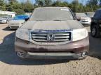 HONDA PILOT EXL photo