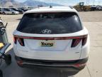 Lot #2957969835 2022 HYUNDAI TUCSON SEL