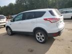 FORD ESCAPE SE снимка