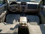 FORD ESCAPE XLT photo