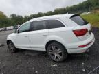 AUDI Q7 TDI PRE photo